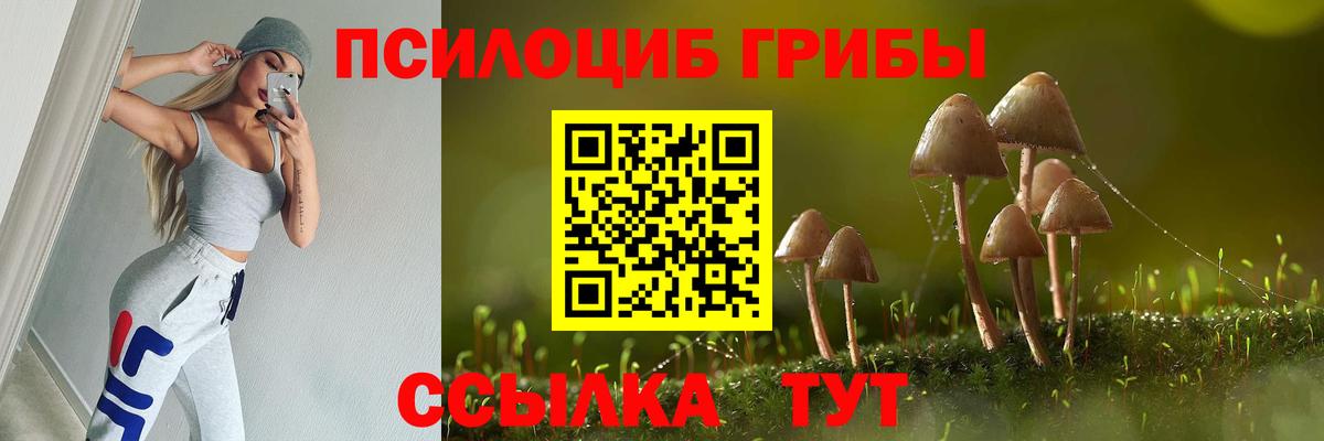 Галлюциногенные грибы GOLDEN TEACHER Бийск